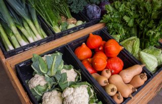 Utrechtse SGP-Statenfractie stelt vragen over voedselzekerheid