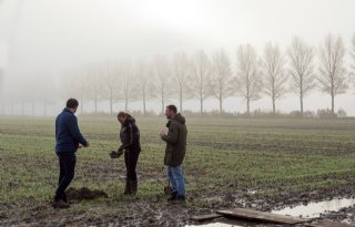 Boeren+in+Flevoland+stimuleren+elkaar+voor+gezondere+bodem