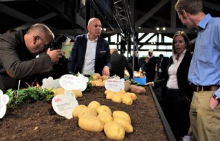Agrico zet aardappelrassen in de schijnwerpers