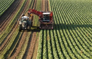 Groene verzekering geeft telers zetje richting verduurzaming