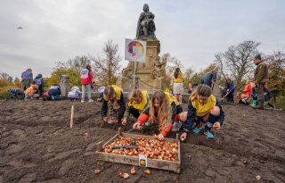 Amsterdamse kinderen planten 30.000 tulpenbollen