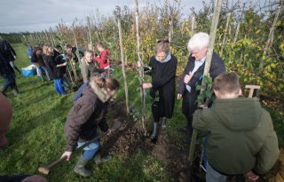 Zeldzame Nederlandse appelrassen geplant als erfgoed in Randwijk
