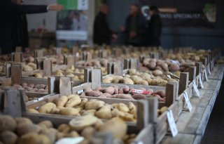 The Potato Valley promoot Nederlandse pootaardappel met een film