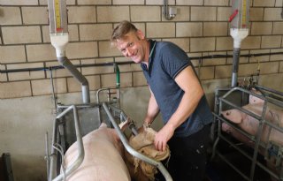 Varkenshouder Van Bussel: 'Ik produceer voor de Plus in het dorp'