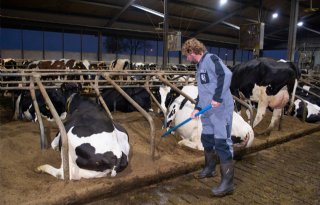 Melkveehouder Wilfred de Bruijn: 'Je verandert mee'