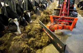 Vlaamse boeren krijgen methaanreducerend voer van overheid