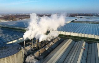 Glastuinbouw Nederland vraagt kabinet te kiezen voor Europees steunpakket