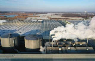 Glastuinbouw Nederland: 'Subsidie kan hoge gasprijs compenseren'