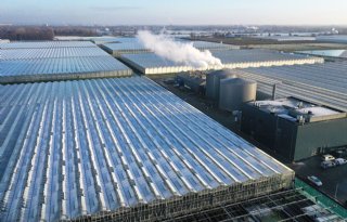 Glastuinbouw vermindert aardgasverbruik met een derde