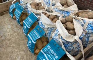 'Eerlijke aardappelen' van Onze Markt liggen nu in de supermarkt