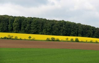 Vooral akkerbouw laat Duitse landbouwprijzen stijgen