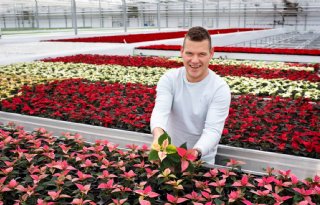Potplantenkweker Strijbis: 'Als je met plezier werkt, kun je meer aan'