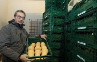 Fruittelers Van den Kerckhove: 'Gezonde bodem, planten en producten'