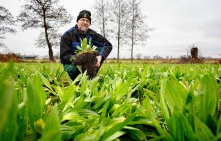 Melkveehouder Van Ruiswijk: 'Bodem is belangrijkste productiefactor'