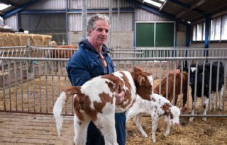 Melkveehouder De Vries: 'Vakmanschap is nodig voor transitie'