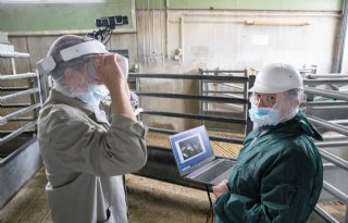 Virtuele koebril helpt Vion bij verbeteren dierenwelzijn