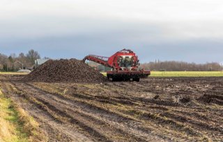 Cosun: aankomend seizoen 84.000 hectare suikerbieten