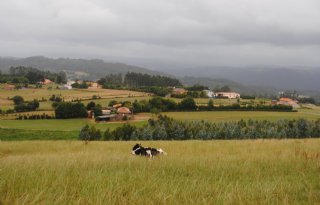 Europese Commissie pakt Spaanse nitraatvervuiling aan