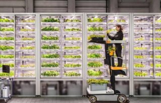 Nederlandse Growy neemt vertical farms van Amerikaanse Kalera over
