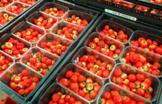 Vlaamse aardbeien deze winter zeldzaam product
