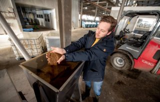 Koeien op Dairy Campus krijgen toefje fijngemalen zeewier