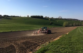 Win-winsituatie voor Zuid-Limburgse boeren met ruitzaai mais