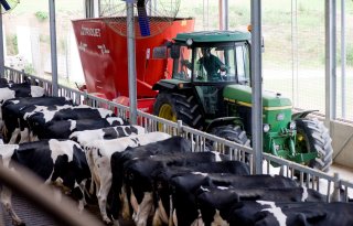Drie melkveehouders in gelijk gesteld om fosfaatrechten