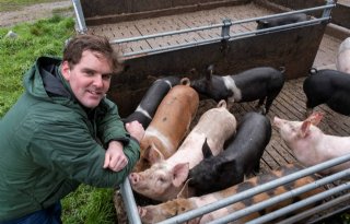Livar-directeur Frank de Rond: 'Dubbel hek beste bescherming tegen varkenspest'