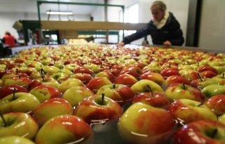Meer biologische appels geoogst in Europese Unie