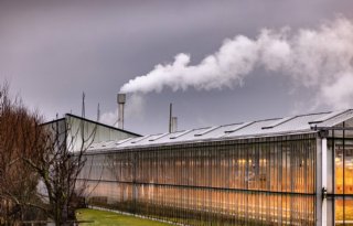Glastuinders akkoord met flexibele CO2-prijs van Ocap