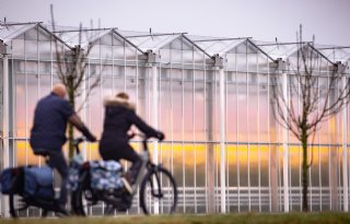 %27Ook+tuinder+verdient+TenneT%2Dkorting+op+transportkosten%27