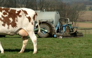 LTO Melkveehouderij doet geen aanvraag voor uitstel bemestingsperiode