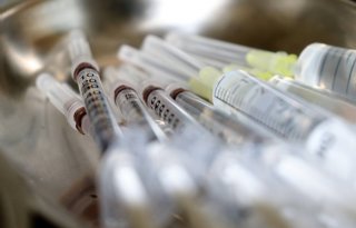 Sterk pleidooi voor vaccinatie tegen vogelgriep