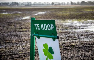 Sterke+vraag+stuwt+grondprijs+op+naar+81%2E500+euro+per+hectare