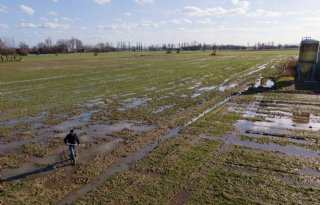 Waterpeil Midden-Nederland volgende week weer op normaal niveau