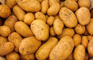 Vestingdorp Oudeschans in verzet tegen bouw aardappelloodsen