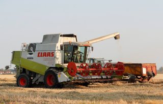 EU stelt oogstverwachting graan naar beneden bij