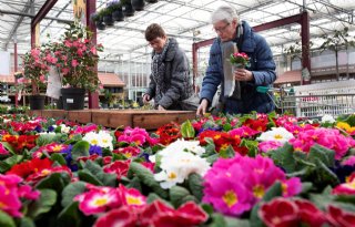 Opnieuw recordomzet voor tuincentra