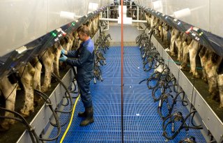 Melkprijs FrieslandCampina plust 4 euro