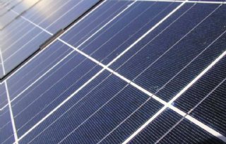 Groot aantal glastuinders wil investeren in zonnepanelen