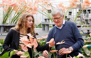 Piet van der Burg selecteert bloemen voor paasviering paus