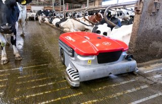 Melkveehouder Van den Berg: 'Stikstofcrisis oplossen met innovaties'