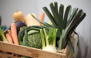 Duitse huishoudens kopen 6 procent meer groenten dan voor corona