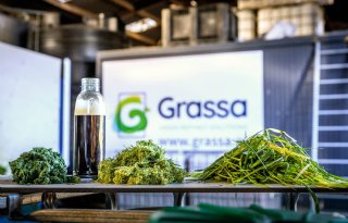 Grassa zoekt boeren voor grasverwaarding