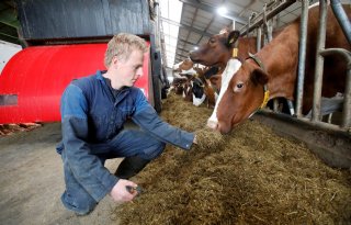 Melkveehouder Van Rooijen: 'Met compact voeren wordt elke hap even lekker'