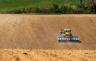 Ook Franse boeren zijn laat met mais inzaaien