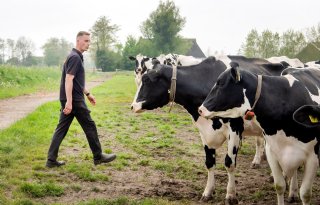 Agrarische Jongeren Friesland groeit tegen de stroom in