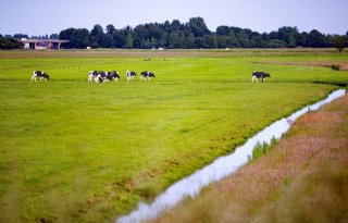Gelderland verdeelt 257 miljoen: meeste geld naar opkoop boerenbedrijven