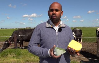 Hogere melkprijs kaasfabriek voor duurzame boer