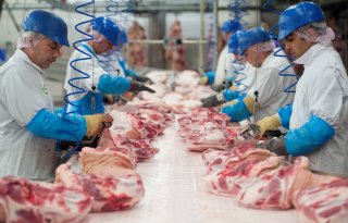 7 procent meer loon in twee jaar voor personeel vleessector